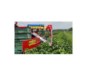 Half-Row Currant and Berry Harvester-3