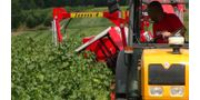 Half-Row Currant and Berry Harvester