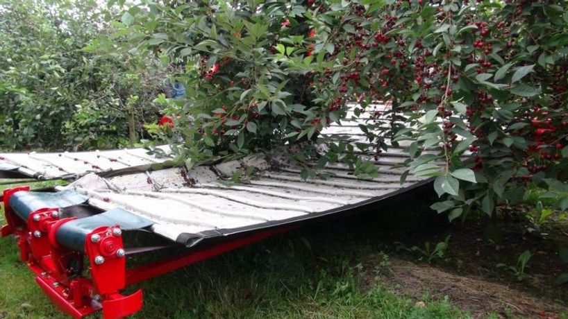 Weremczuk - Model MAJA Automatic-TS - Sour Cherry Harvester