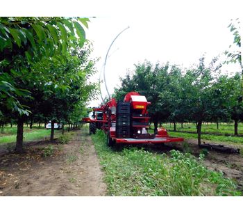 Sour Cherry Harvester-4
