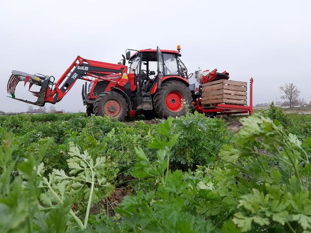 Weremczuk - Model Alina Eco II - Carrot Harvester for Harvesting Vegetable Into Box Pallet