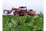 Weremczuk - Model Alina Eco II - Carrot Harvester for Harvesting Vegetable Into Box Pallet