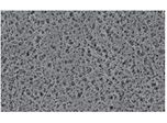 Flat MCE Membrane