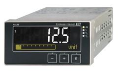 Model RIA45 - Process Meter with Control Unit