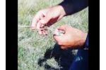 Pasture Walk and Plant I.D. Video