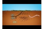 The Formation of Soil Aggregates 3 Video