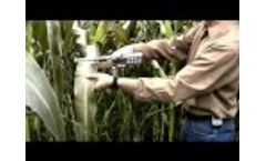 CI-203 Handheld Laser Leaf Area Meter - Video