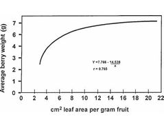 Figure 1: Average weight of Tokay grapes (g) of at harvest on leaf area per unit crop weight (cm2/g). From Kliewer, W.M. & Dokoozlian N.K. (2005).