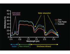 Figure 2: Chlorophyll absorbs light at ~420 and ~650 nm, i.e., blue and red light; water-content in plants absorbs light in the shortwave infrared spectrum. From NASA