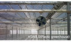 Model HSW8.0 - Smart Farm Plastic Greenhouse