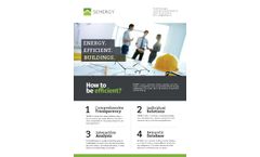 SEMERGY - Energy Efficient Buildings Software Brochure