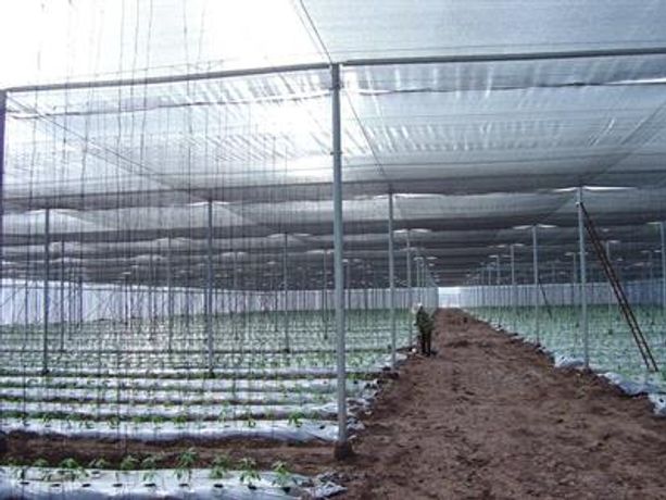 Poly-Hort - Anti Insects Nets