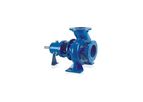 Care-Well - Model CWPCF - Chemical Process Pump