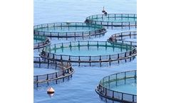 Kuzeyboru - Fish Farming PE Pipes