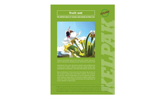 Auxins - Natural Plant - Brochure
