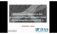 Mechanisms involved in the prevention of type I diabetes onset by Lactobacillus johnsonii N6.2- Video