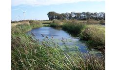 Wetlands and Protected Spaces