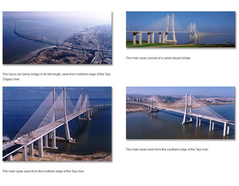Ambient Vibration Testing of the Vasco da Gama Bridge, Portugal - Case Study