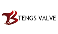 Tengs Valve International Limited