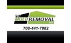 Mold Stain Removal and Solutions for Attics, Crawl Spaces and More - Video