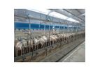 LAKTO - Ovine Output Milking System