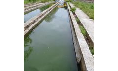 Kleen - Organic Waste Decomposer Lagoon with Bacteria and Enzymes