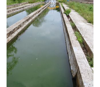 Kleen - Organic Waste Decomposer Lagoon with Bacteria and Enzymes