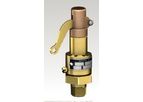 Aquatrol - Model 130 Series - Air / Gas Steam Pressure Relief Valve