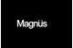 Magnus Opto Systems India Pvt. Ltd.