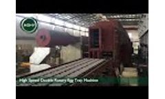 High Speed Double Rotary Egg Tray Machine Video