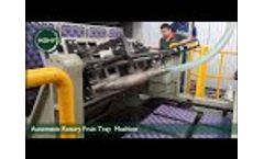 Automatic Rotary Fruit Tray / Carton Machine Video
