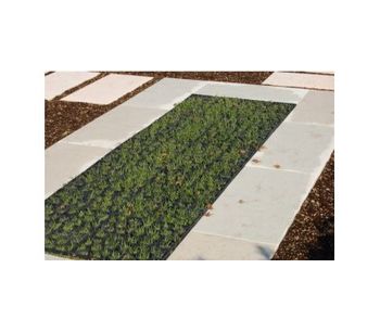 Plastic Ground Grid for Parking Lots on Existing Lawns-1