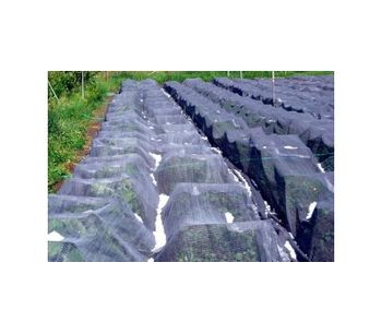 Fruit and Vegetable Crop Hail Protection Netting