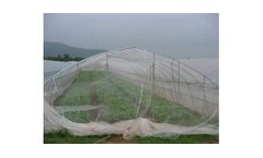 Thrips - Insect Netting