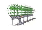 Tailor Made Plant Phenotyping Systems
