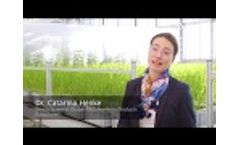 EuroChem: We are Innovating for Farmers Video