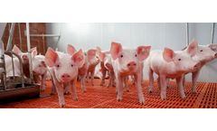 Mitigation technology solutions for animal sector