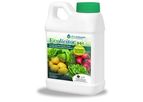 Ecolicitor - Plant Growth In Leafy Greens
