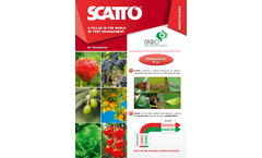 Scatto - Active Substances Brochure