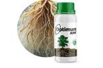 Optimum Arbuscular Mycorrhizal Fungi  (AMF)
