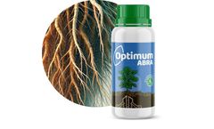 Model ABRA - Optimum Plant-Growth-Promoting Bacteria (PGPB)