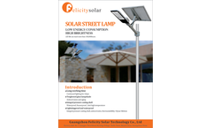 Felicity Solar - Model FL-P310 - 310w Solar Panel for Home Electricity Brochure