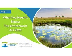 What You Need to Know About the Environment Act 2021