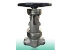 Yaao - Model YV-GTV-06 Hits: 390 - Flanged Forged Steel Gate Valve