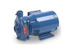 Model 321  - Single Stage End Suction Horizontal Close Coupled Pumps