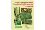 A Guide to Identifying and Managing Nutrient Deficiencies in Cereal Crops