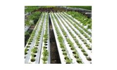 Ultraviolet disinfection systems for the horticulture industry