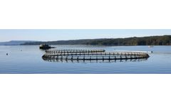 UV water disinfection solutions for fish farms and hatcheries