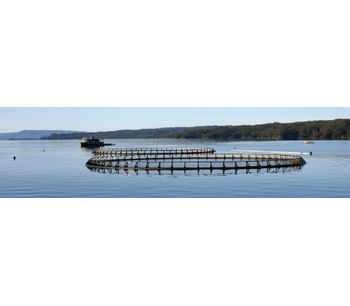 UV water disinfection solutions for fish farms and hatcheries - Agriculture - Aquaculture