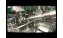 Borrell-USA Processing Lines of the #Almonds in #California Video